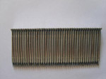 CP-004